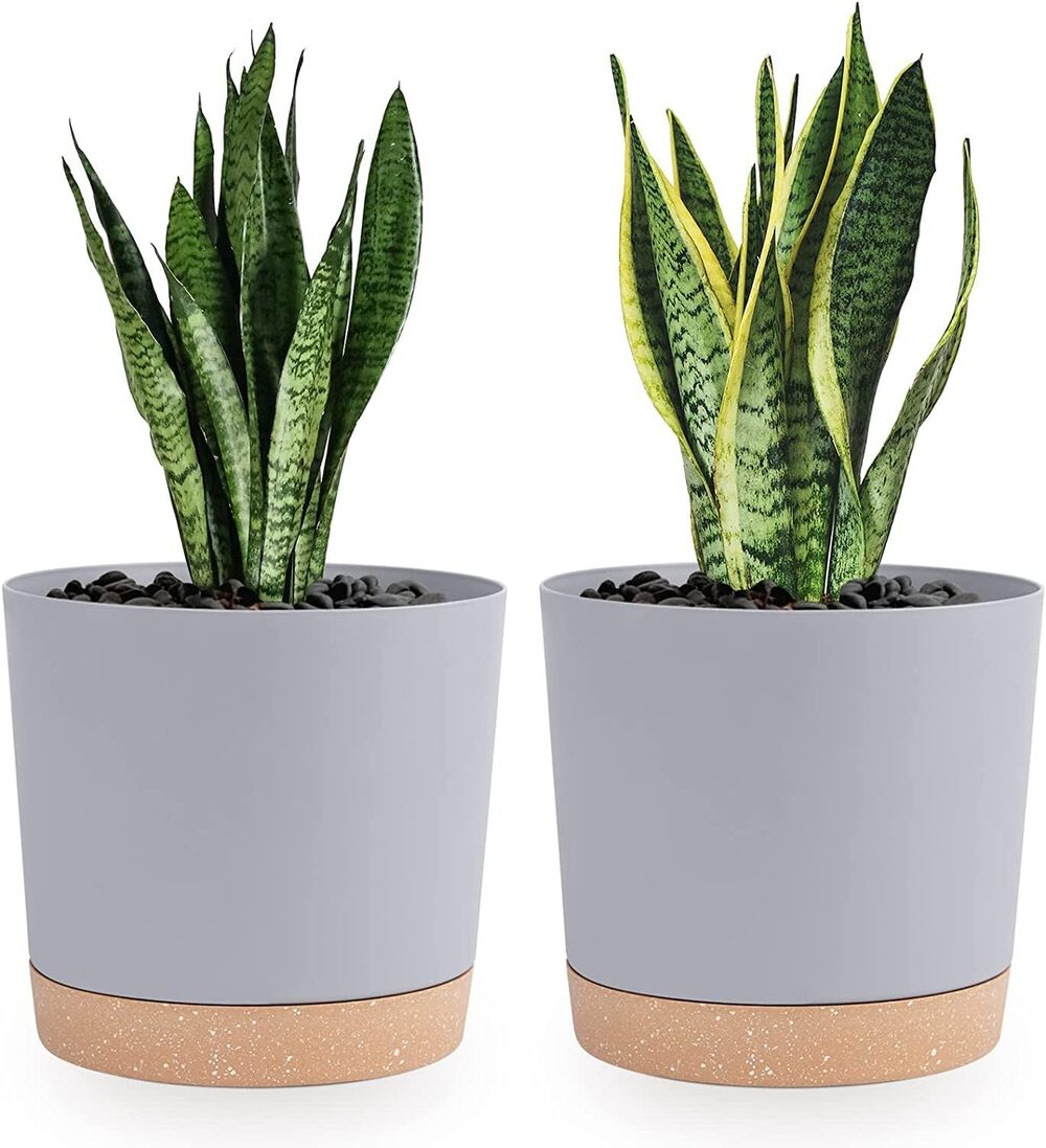 Plant Pots Set of 2 Pack 8 inch, Indoor Plants with Drainage Holes Light Gray